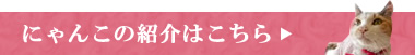 にゃんこの紹介はこちら