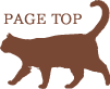 PAGE TOP