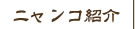 ニャンコ紹介